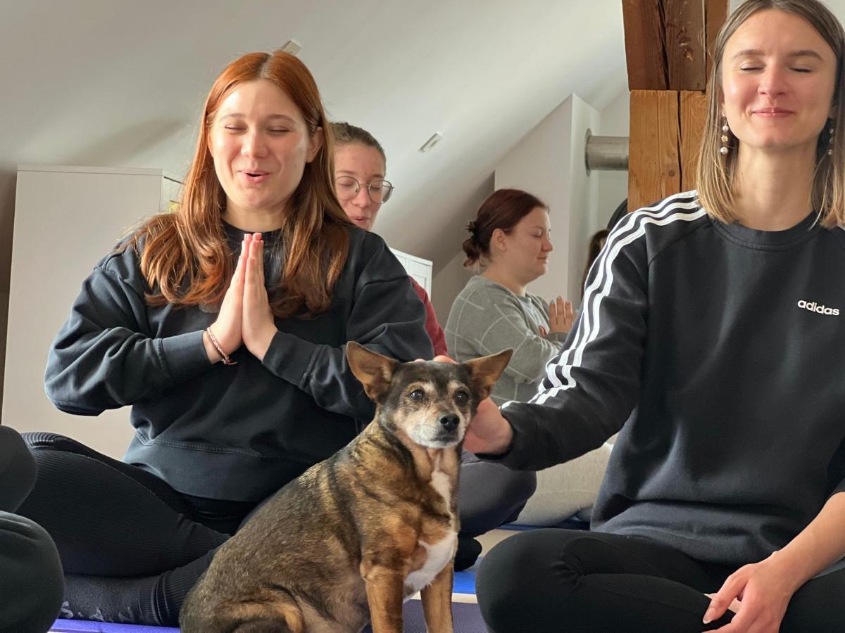 Апартаменты Om Yoga Center Словенска-Бистрица Экстерьер фото